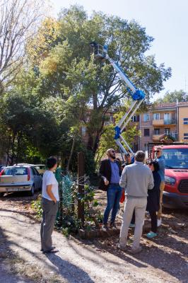 TAGLIO ALBERI CONDOMINIO VIA FIUME