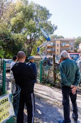 TAGLIO ALBERI CONDOMINIO VIA FIUME