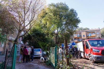 TAGLIO ALBERI CONDOMINIO VIA FIUME