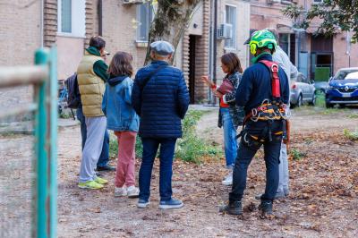 TAGLIO ALBERI CONDOMINIO VIA FIUME