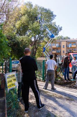 TAGLIO ALBERI CONDOMINIO VIA FIUME