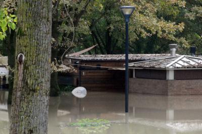 ROTTURA TORRENTE IDICE ARGENTA