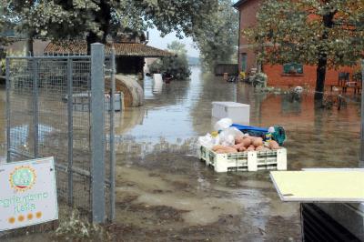 ROTTURA TORRENTE IDICE ARGENTA