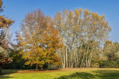 AUTUNNO AL PARCO URBANO