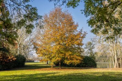 AUTUNNO AL PARCO URBANO