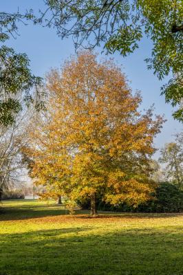 AUTUNNO AL PARCO URBANO