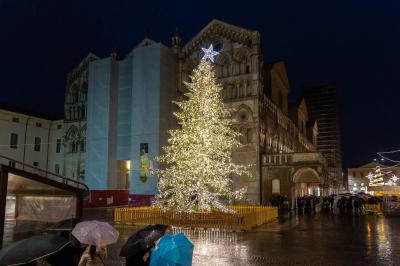 ACCENSIONE ALBERO DI NATALE