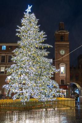 ACCENSIONE ALBERO DI NATALE