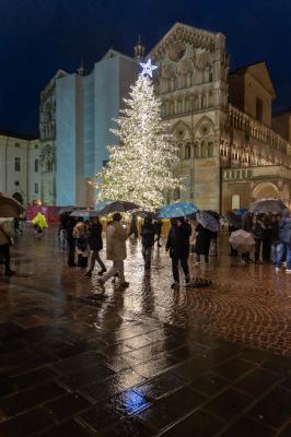 ACCENSIONE ALBERO DI NATALE