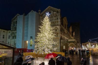 ACCENSIONE ALBERO DI NATALE