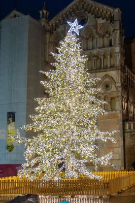 ACCENSIONE ALBERO DI NATALE