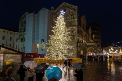 ACCENSIONE ALBERO DI NATALE