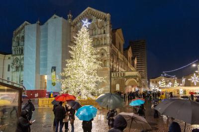 ACCENSIONE ALBERO DI NATALE