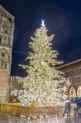 ACCENSIONE ALBERO DI NATALE