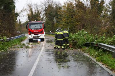 MALTEMPO PIOGGIA FERRARA