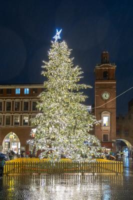 ACCENSIONE ALBERO DI NATALE