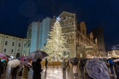 ACCENSIONE ALBERO DI NATALE