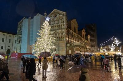 ACCENSIONE ALBERO DI NATALE