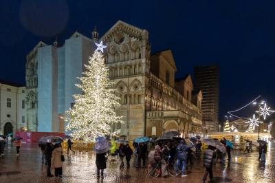 ACCENSIONE ALBERO DI NATALE