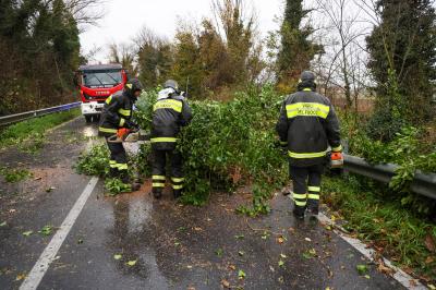 MALTEMPO PIOGGIA FERRARA