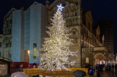 ACCENSIONE ALBERO DI NATALE