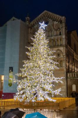 ACCENSIONE ALBERO DI NATALE