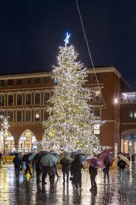 ACCENSIONE ALBERO DI NATALE