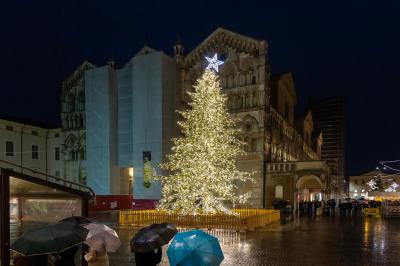 ACCENSIONE ALBERO DI NATALE