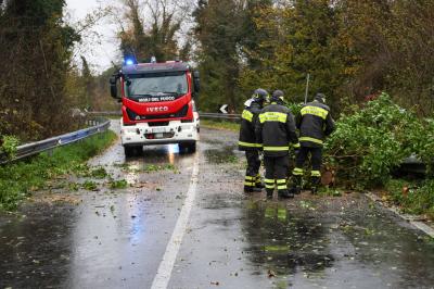 MALTEMPO PIOGGIA FERRARA