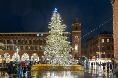 ACCENSIONE ALBERO DI NATALE