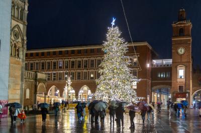 ACCENSIONE ALBERO DI NATALE