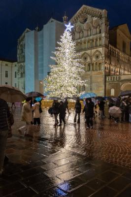 ACCENSIONE ALBERO DI NATALE