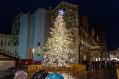 ACCENSIONE ALBERO DI NATALE