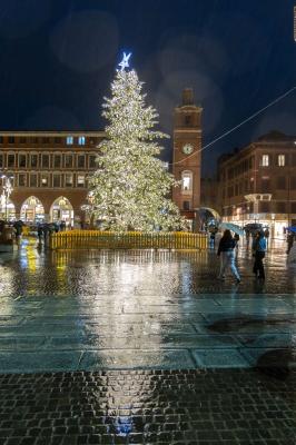 ACCENSIONE ALBERO DI NATALE