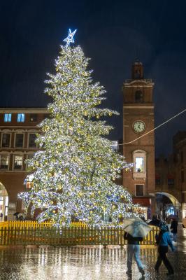 ACCENSIONE ALBERO DI NATALE