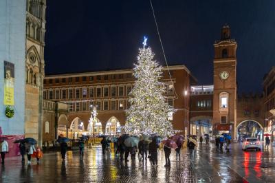 ACCENSIONE ALBERO DI NATALE