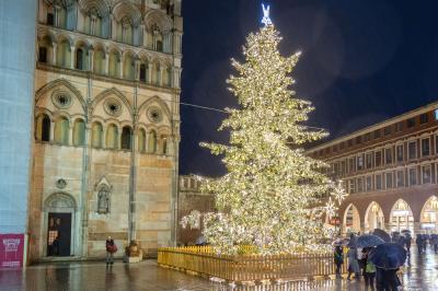 ACCENSIONE ALBERO DI NATALE