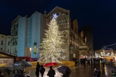 ACCENSIONE ALBERO DI NATALE