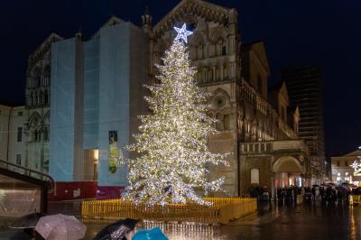 ACCENSIONE ALBERO DI NATALE