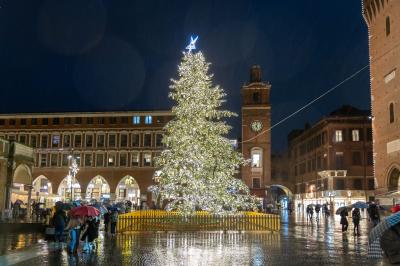 ACCENSIONE ALBERO DI NATALE