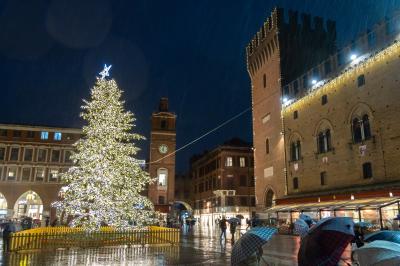 ACCENSIONE ALBERO DI NATALE